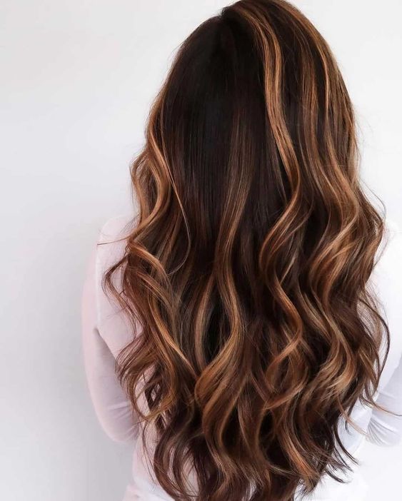 Soft Curly Hair With Caramel Highlights