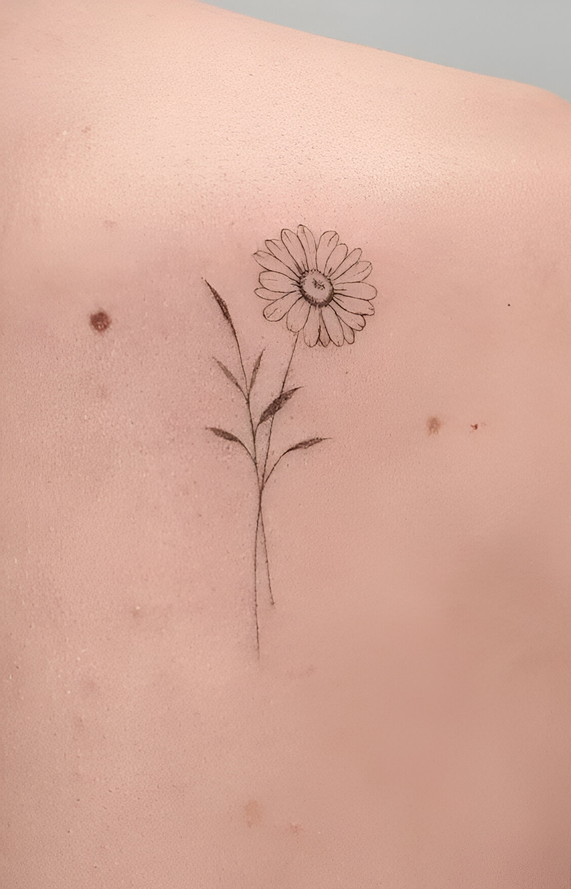 Daisy Mini Flower Tattoos