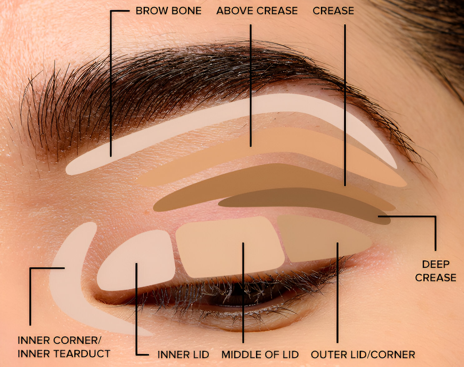 Tips To Apply Eyeshadow Easier