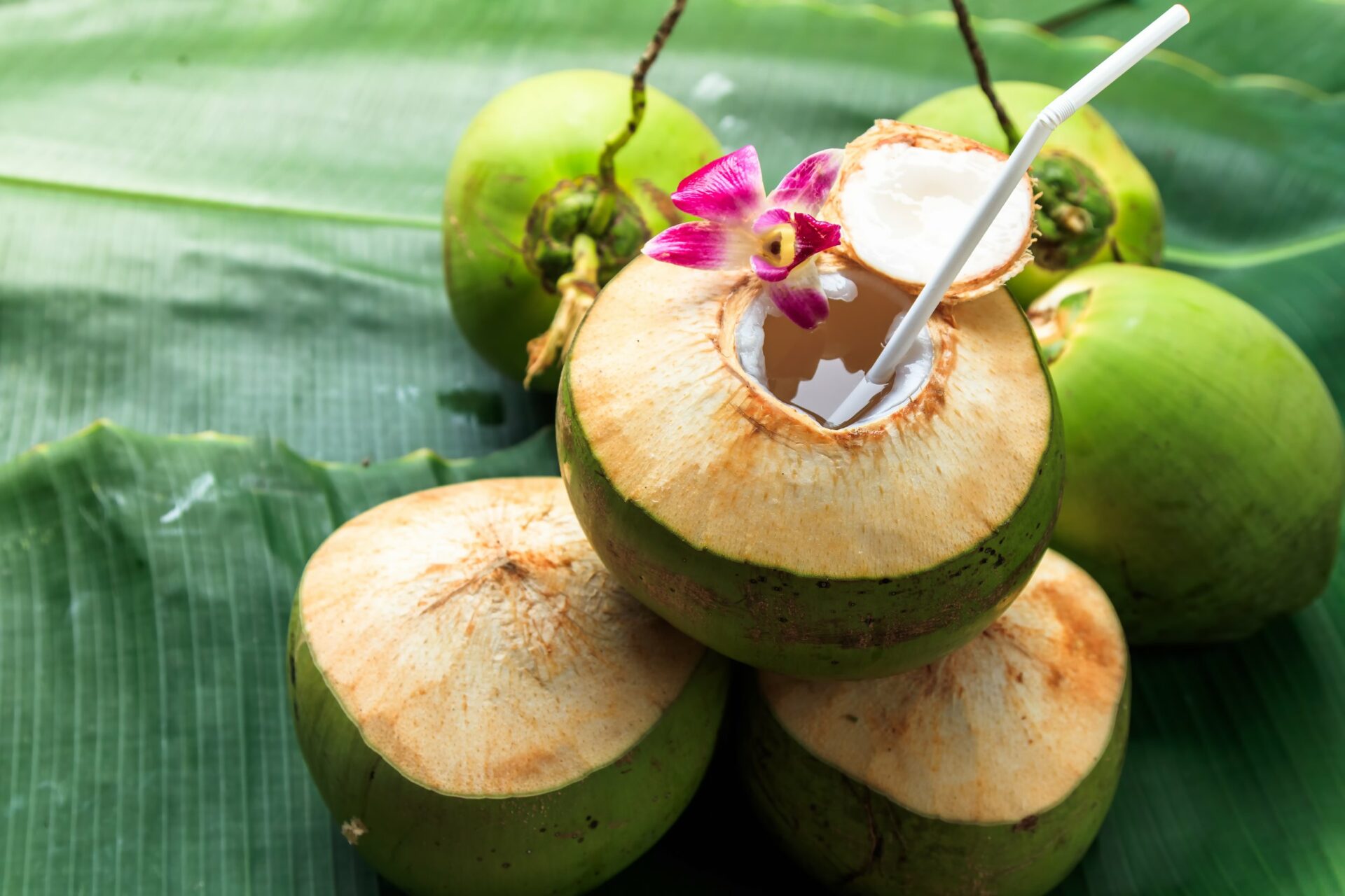 Fresh Coconut Water On The Scalp