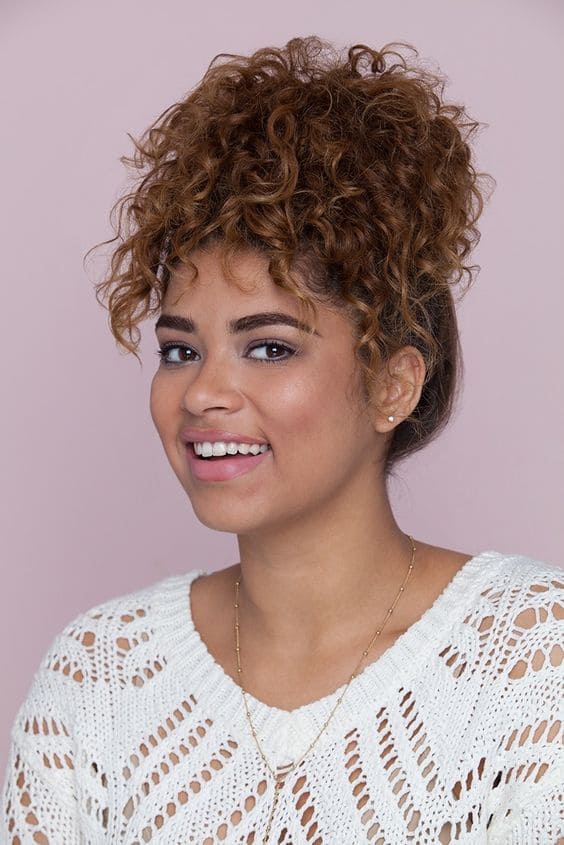 Pineapple Natural Hairstyles 4