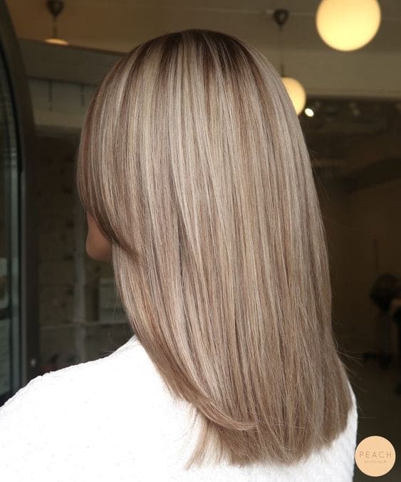 Beige Blonde with Soft Brown Lowlights 5