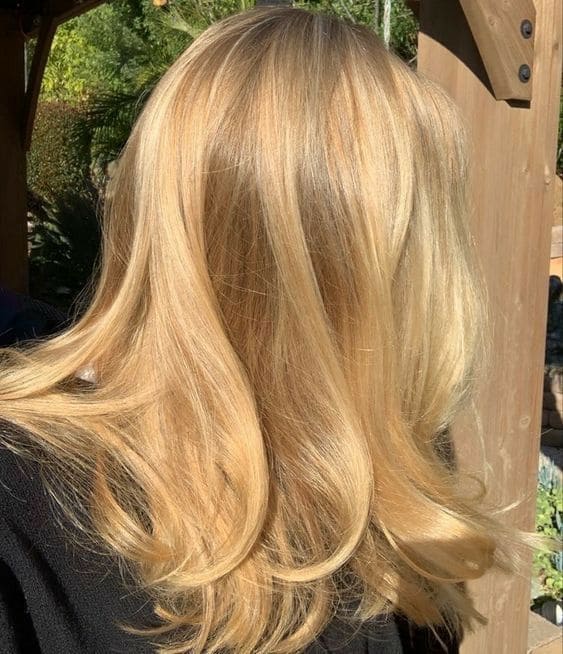 Butter Blonde with Toffee Lowlights 6