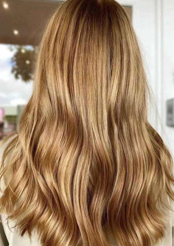 Golden Blonde with Chestnut Lowlights 4