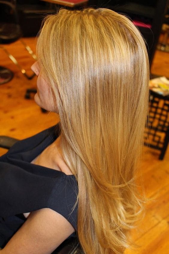 Golden Blonde with Chestnut Lowlights 5