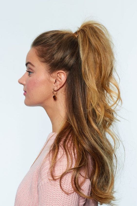 Half Up Half Down with a Ponytail 3