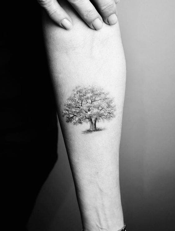 Oak Tree Tattoo Ideas 1