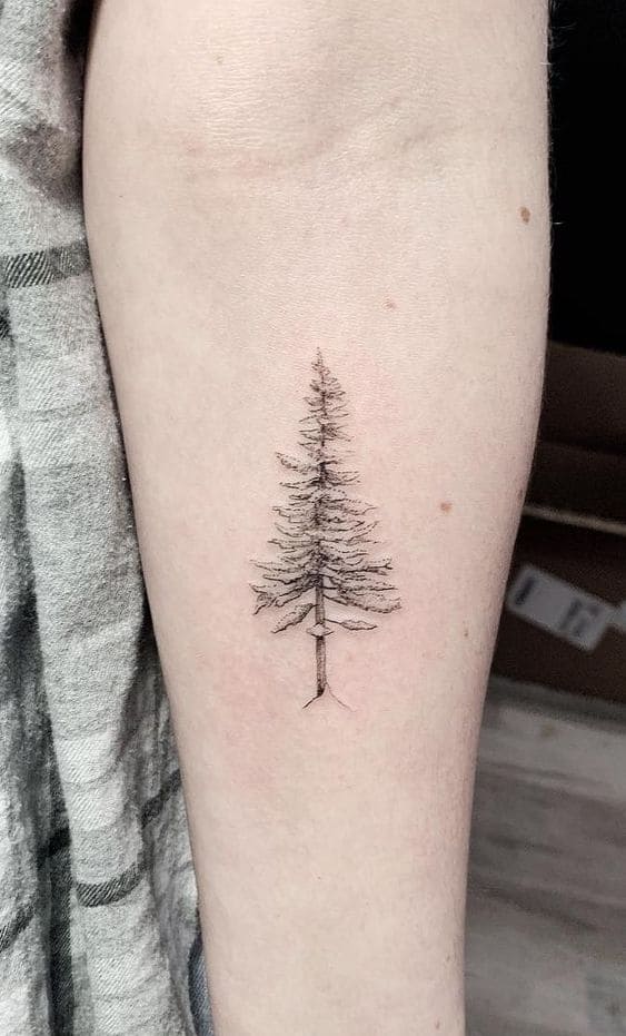 Realistic Pine Tattoos 2