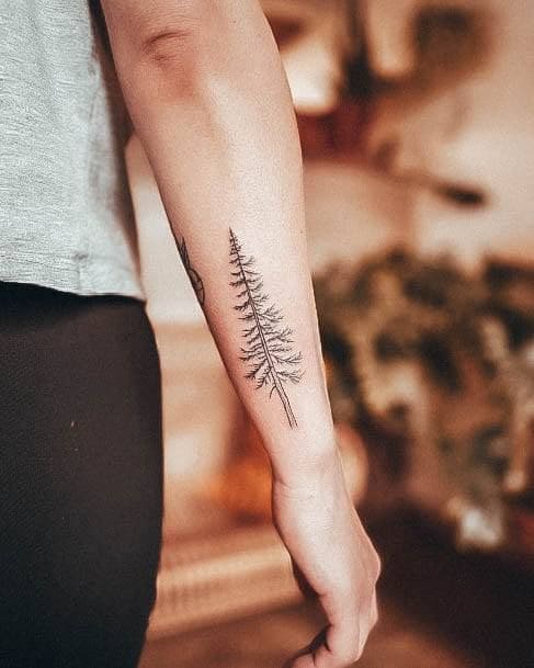 Realistic Pine Tattoos 8