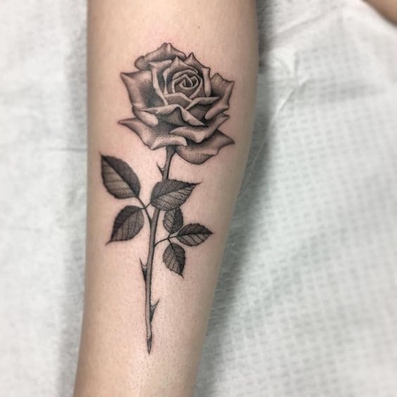 Rose Thorn Tattoo 1