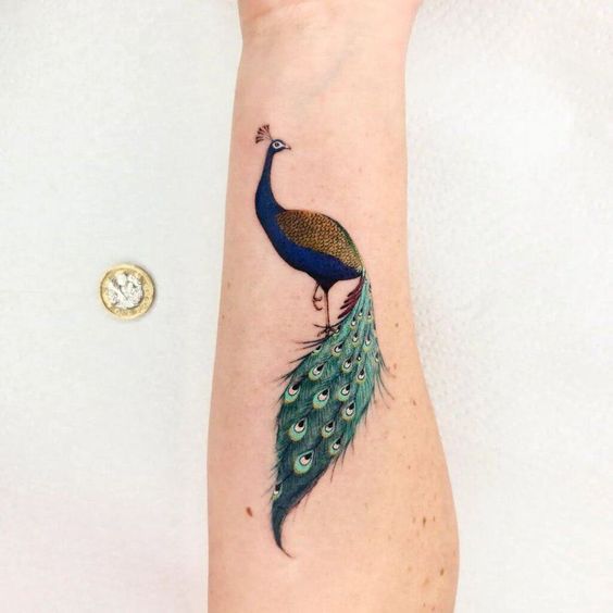 Beautiful Peacock Tattoos 1