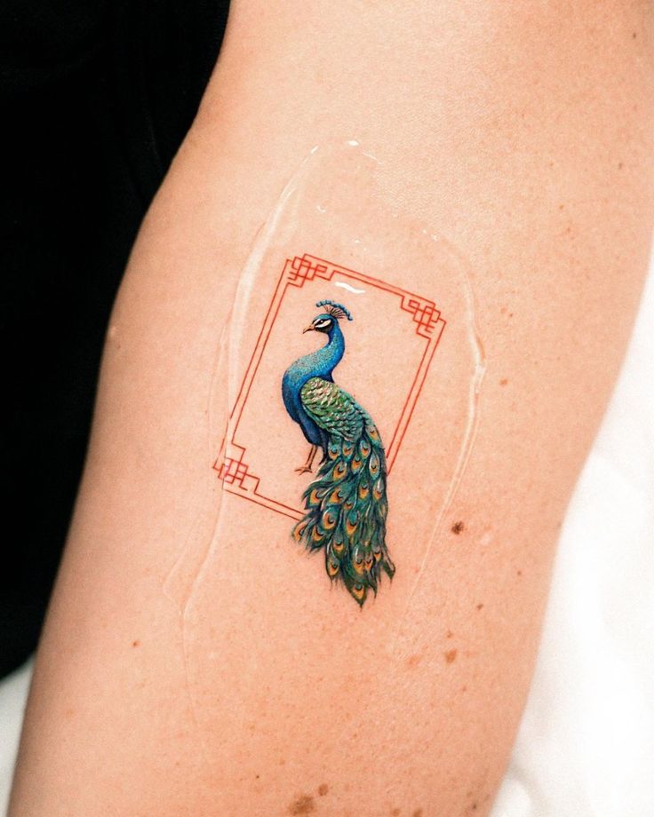 Beautiful Peacock Tattoos 3