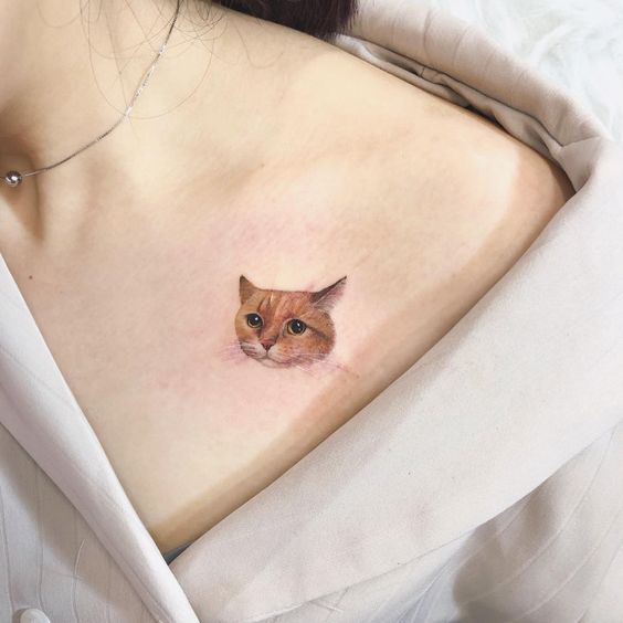 Cat Peeking Tattoos 6