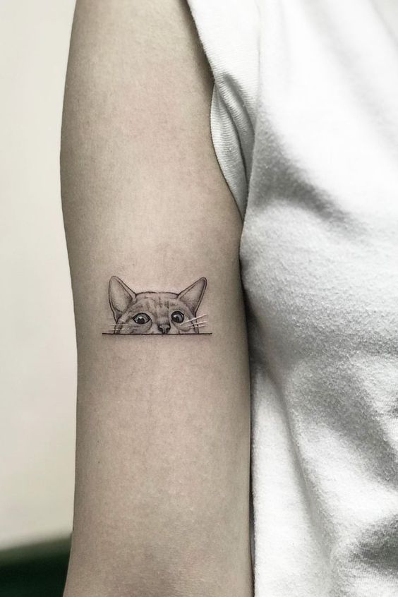 Cat Peeking Tattoos 7