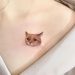 Cat-Tattoo-Ideas