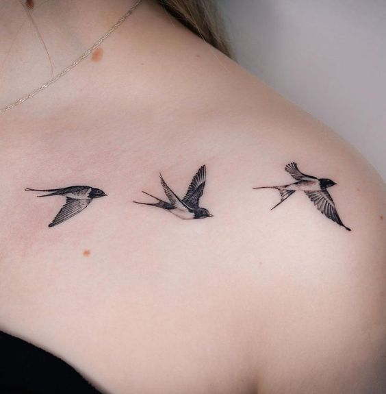 Flock Of Birds 3