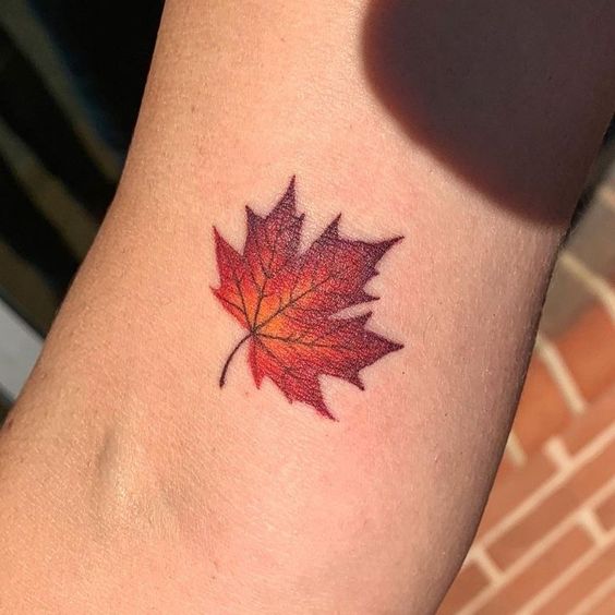 Maple Leaf Tattoos 1