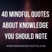 Mindful-Quotes-About-Knowledge-Web