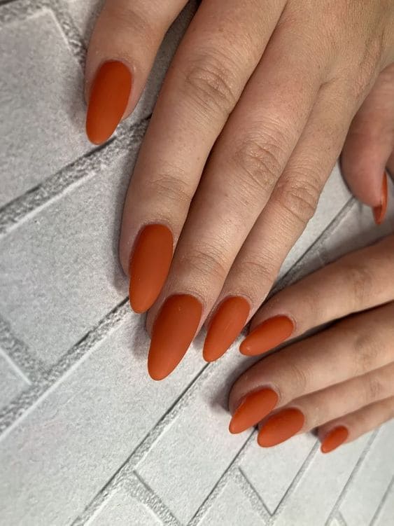 One Tone Matte Fall Manicure 1