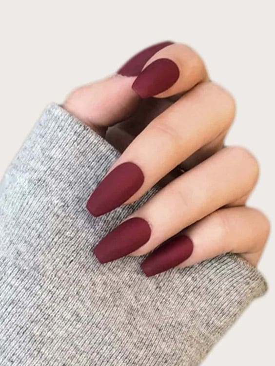 One Tone Matte Fall Manicure 2