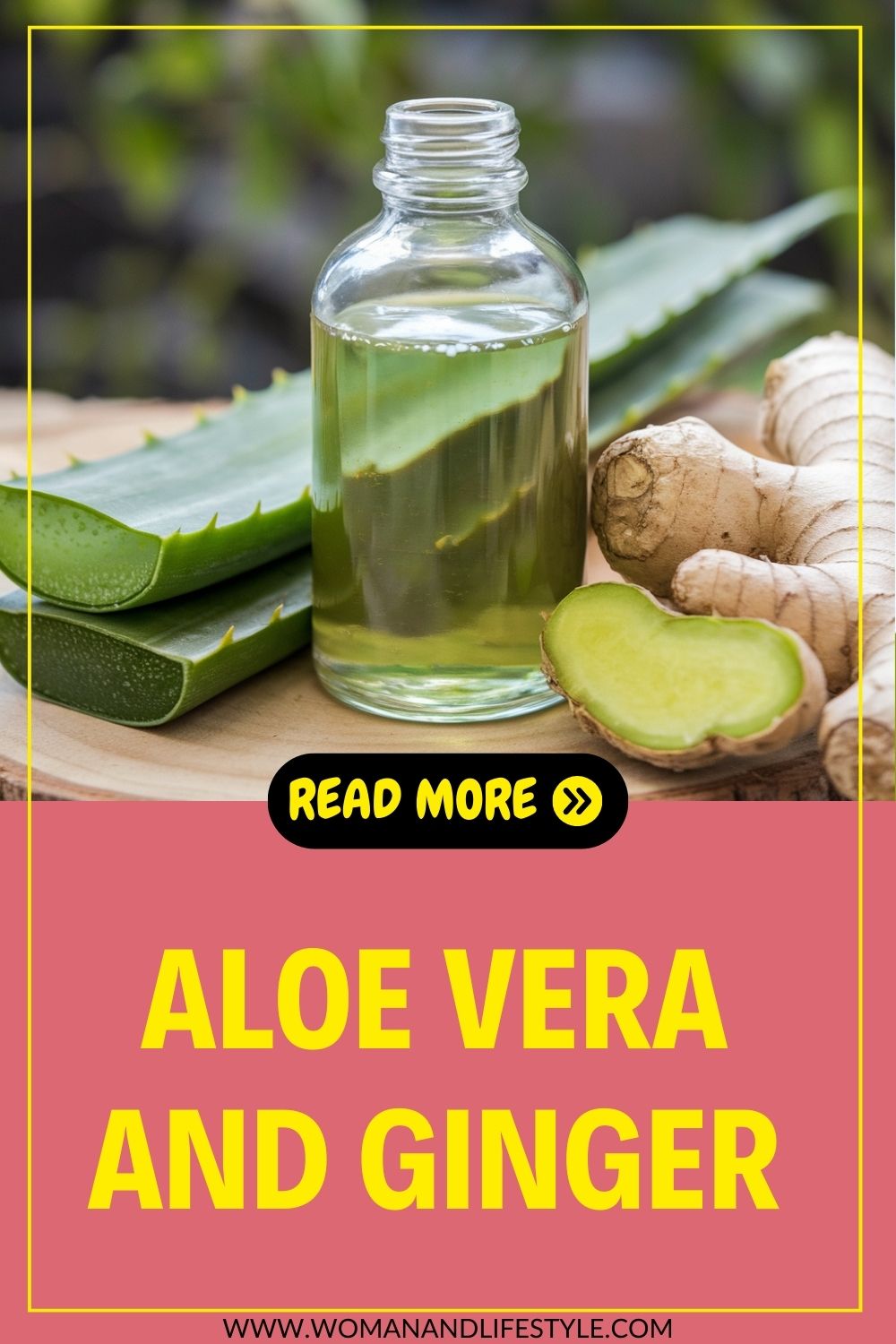 Aloe-Vera-and-Ginger-Pin