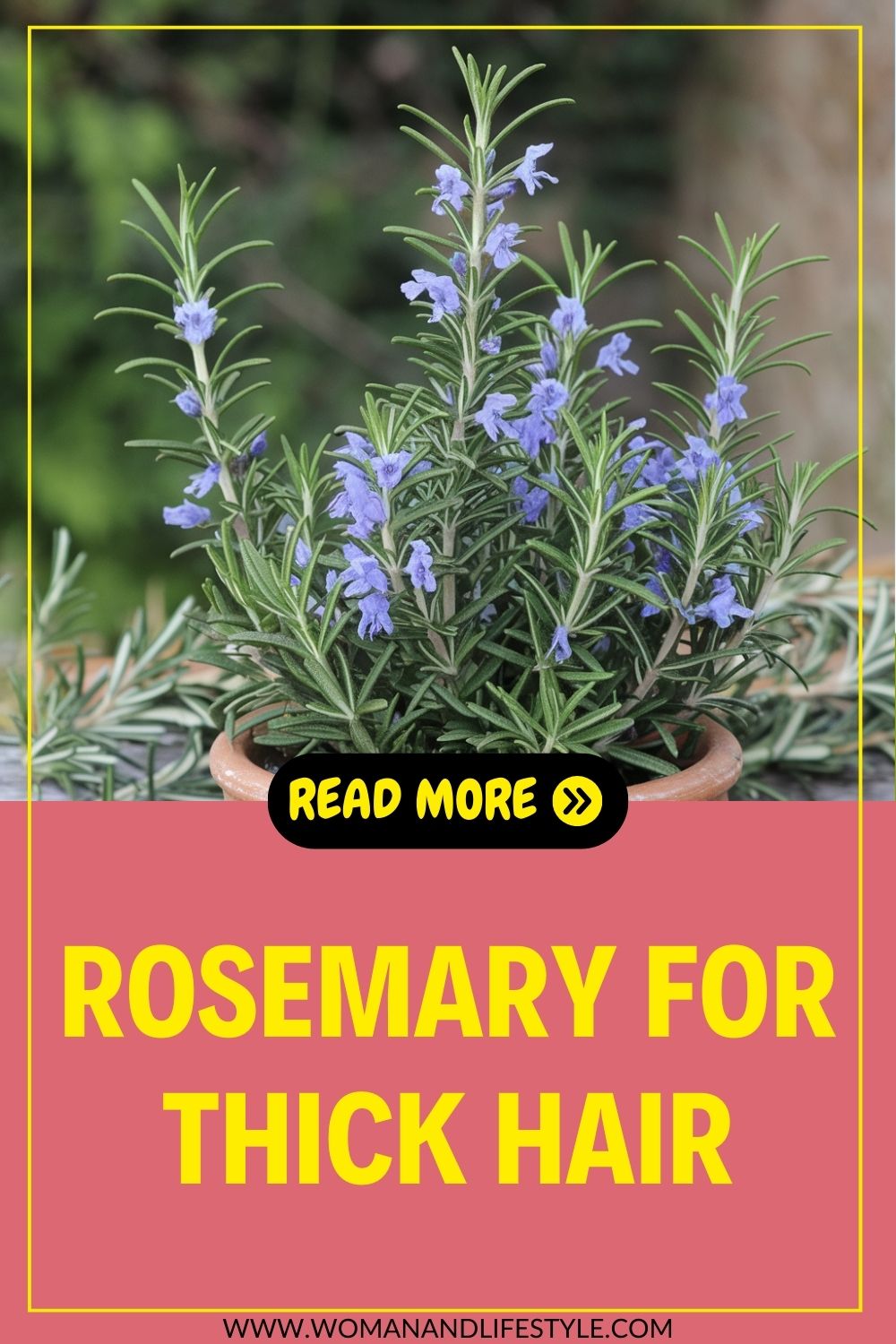 Rosemary-For-Thick-Hair-Pin