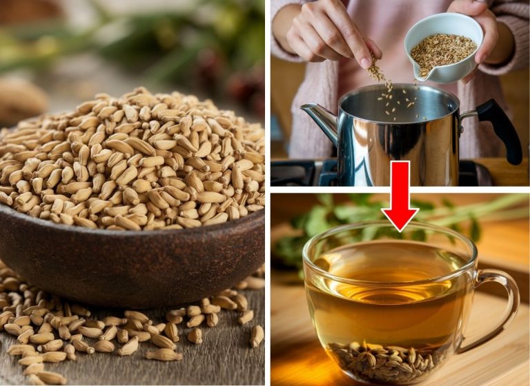 B477-Thumb-Fenugreek-Herbal-Tea