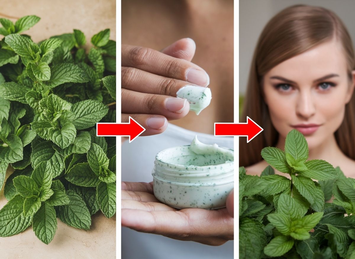 B780-Thumb-Peppermint-Oil-Hair-Remedies