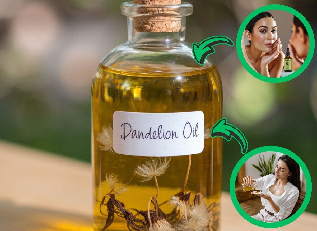 B793-Thumb-DIY-Dandelion-Oil