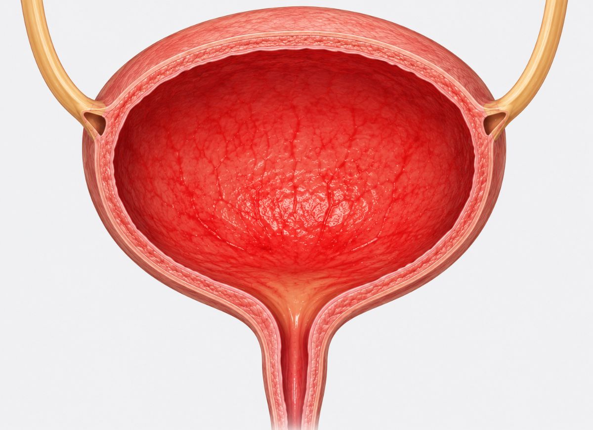 11 Common Symptoms of Acute Cystitis You Shouldn’t Ignore